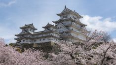 El castillo Himeji: la mejor fortaleza sobreviviente de Japón de principios del siglo XVII