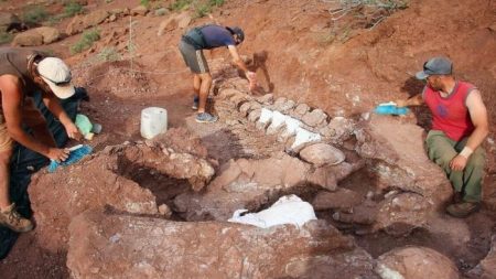 Paleontólogos descubren fósiles de dinosaurios que podrían ser de la criatura más grande jamás conocida