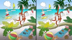 ¿Puede detectar 10 diferencias en esta escena de playa tropical? ¡Sí, nosotros también queremos ir!