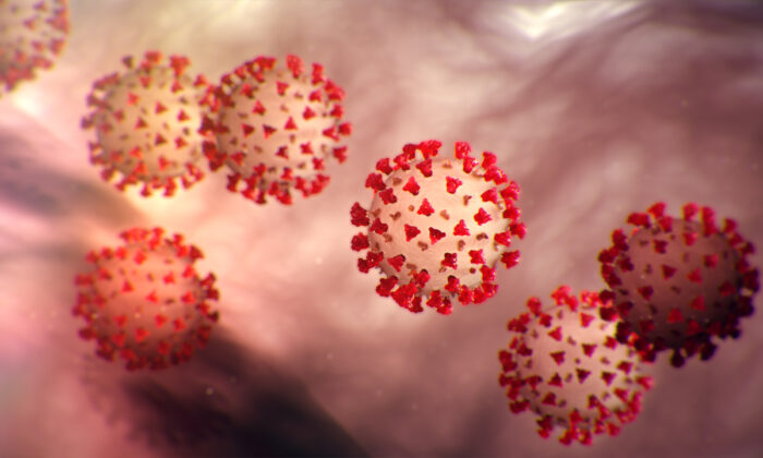 Una imagen ilustrativa del virus que causa la enfermedad COVID-19. (Centros para el Control y la Prevención de Enfermedades)
