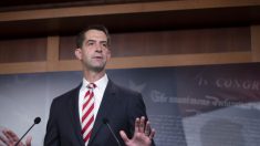 Cotton: El Senado carece de autoridad para realizar un impeachment a Trump después del 20 de enero