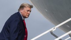 Trump alega «volcado de votantes» después de que funcionario de Georgia anunciara pausa en el recuento