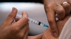 Autoridades sanitarias belgas alertan contra vacunas fraudulentas rusas