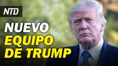 NTD Noticias: Nominan a Trump para Premio Nobel de la Paz; Trump nombra nuevos abogados para impeachment