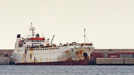 El Gobierno español ordena el sacrificio de 900 terneros a bordo de un barco