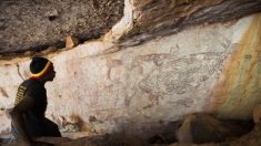 Arqueólogos australianos encuentran una pintura rupestre de un canguro de 17,000 años