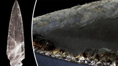 Arqueólogos descubren una daga de cristal de 5000 años sobre la tumba de un cacique en España