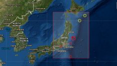 Terremoto de 7.1 grados sacude la costa de Fukushima en Japón