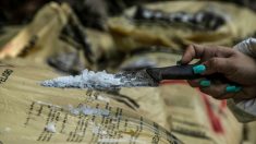 México incauta 2.5 toneladas de metanfetamina y 100,000 tabletas de fentanilo