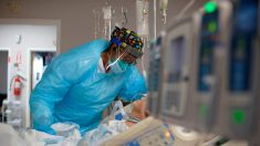 Paciente de trasplante muere después de recibir pulmones infectados con covid-19 en EE.UU.