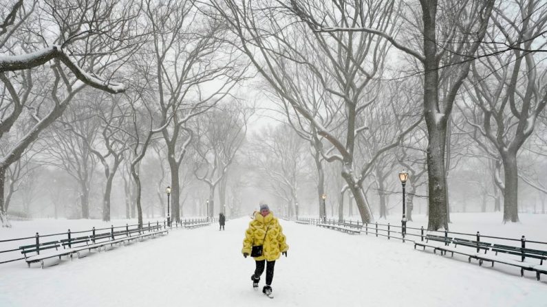 Una mujer camina en Central Park durante una tormenta invernal el 1 de febrero de 2021 en la ciudad de Nueva York (EE.UU.). (Foto de Timothy A. Clary / AFP a través de Getty Images)