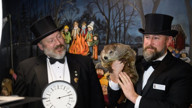 Los miembros del círculo interno del club de la marmota de Punxsutawney Jason Gursky y el manejador oficial, AJ Dereume y Punxsutawney Phil, la marmota que predice el clima, realizan una llamada de Zoom con escolares de cientos de escuelas de los Estados Unidos en Gobblers Knob el 1 de febrero de 2021 en Punxsutawney, Pensilvania (EE.UU.). (Foto de Jeff Swensen / Getty Images)