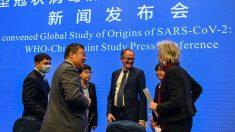 Críticos chinos condenan como una “farsa” la investigación en Wuhan de la OMS