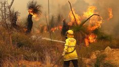 Incendio forestal del suroeste en Australia se agrava y arrasa 71 viviendas