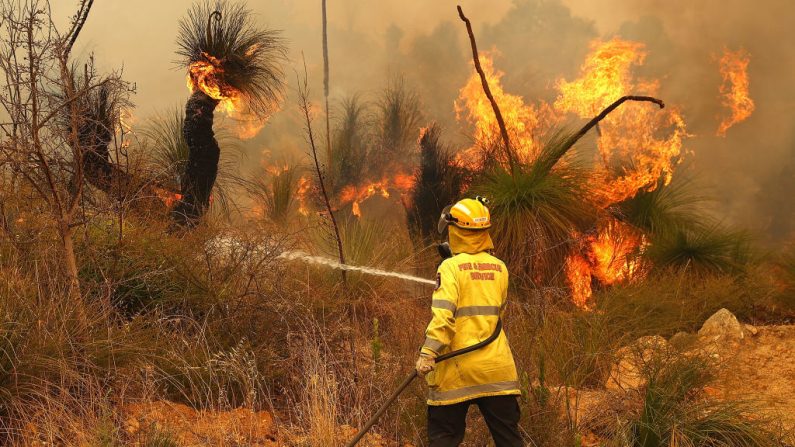 Los equipos de bomberos controlan los incendios forestales mientras se acercan a las propiedades en Copley Road en Upper Swan el 2 de febrero de 2021 en Perth, Australia. (Foto de Paul Kane / Getty Images)