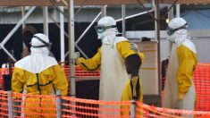 Guinea-Conakri confirma una quinta muerte por ébola