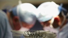 Un hospital de Nueva York anuncia primer trasplante exitoso de cara y manos