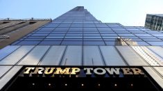 Fiscal de Manhattan cita a agencia tributaria en investigación criminal sobre Organización Trump: reporte