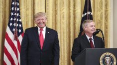 Trump ayudará a todos los titulares republicanos del Senado: Lindsey Graham