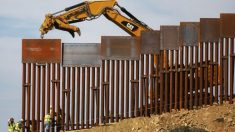 Fiscales de Texas y Misuri demandan a la Admin. Biden para reanudar la construcción del muro
