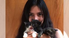 Joven veterinaria mexicana rescata gatitos recién nacidos abandonados y les da una segunda oportunidad