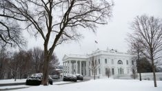 La Casa Blanca no puede acceder ni publicar registros de visitas de la administración Trump: portavoz