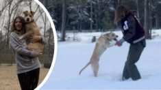 Joven sale a pasear con su perro y salva la vida de un niño que cayó a un lago congelado en Texas