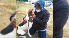 Emotivo reencuentro de un hombre de Baltimore con su perro después de 4 meses en coma se hace viral