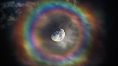 Fotógrafo italiano capta una rara imagen de la Luna rodeada por un perfecto anillo de arco iris