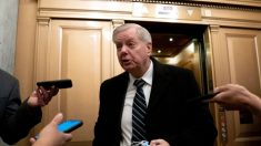 Graham: Trump está ‘muy centrado’ en ‘conseguir el mejor equipo en el campo’ para 2022