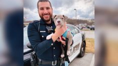 Policía de Nueva Jersey rescata a un cachorro de pitbull sin hogar y lo adopta el mismo día