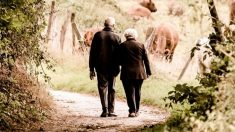 Pareja de 106 y 98 años celebra su 74° Día de San Valentín juntos: “La clave es la paciencia”
