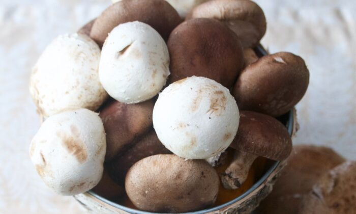 La mayoría de las setas son saludables y deliciosas  simplemente salteadas con un poco de mantequilla y un chorrito de vino. (Victoria de la Maza)