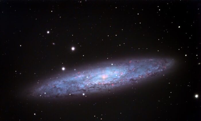La galaxia Sculptor, NGC 253. Los análisis de una ráfaga de emisiones de rayos gamma procedentes de esta galaxia sugieren que fueron producidas por una llamarada gigante de un magnetar, un remanente estelar altamente magnetizado. (Dylan O'Donnell)