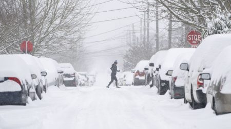 La mitad de EE.UU. tiene alertas por el clima invernal a causa del frío que está cubriendo al país
