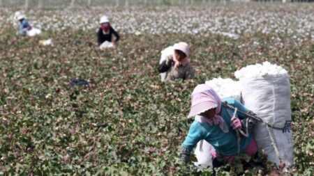 Nueva ley contra la esclavitud impondrá un coste a China por su genocidio en Xinjiang: Experto