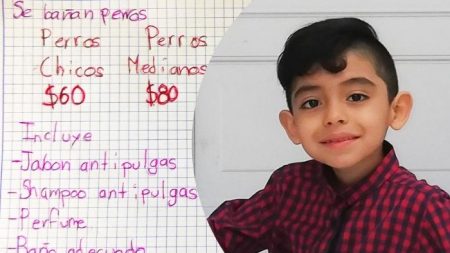 Niño mexicano de 7 años baña perros para poder ser veterinario: «Sé que se empieza por oficios para lograrlo»