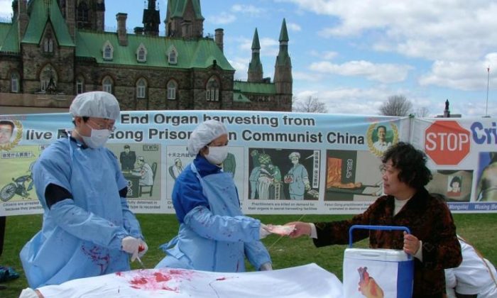 Practicantes de Falun Gong representan una escena de la sustracción de órganos en China. (Xiaoyan Sun/The Epoch Times)
