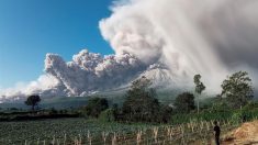 Volcán Sinabung de Indonesia emite columna de humo de 5000 metros de altura