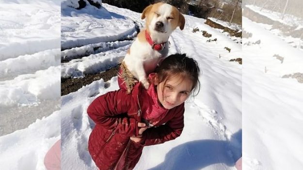 Niña carga su perro enfermo 1.5 millas en la nieve buscando veterinario: «Un corazón enorme»