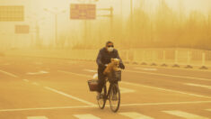 Beijing está envuelta en su peor tormenta de arena en una década