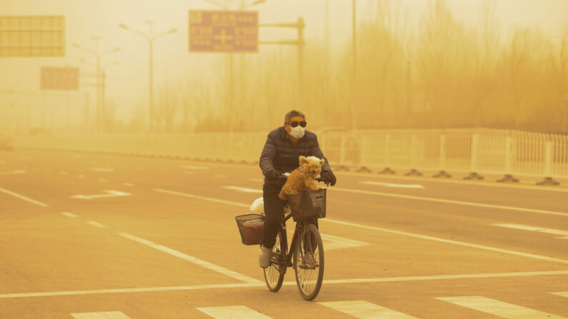 Un hombre que lleva una mascarilla va en bicicleta con su perro en una tormenta de arena el 15 de marzo de 2021 en Beijing, China. (Getty Images)