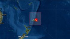 Alerta de tsunami por un sismo de magnitud 8.1 cerca de Nueva Zelanda