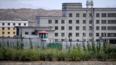 Departamento de Estado de EE.UU.: El PCCh manipula el ciberespacio para ahogar críticas sobre Xinjiang