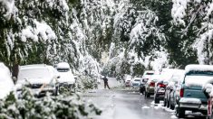 Tormenta invernal sin precedentes amenaza a 30 millones en el oeste de EE.UU.