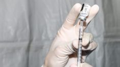 Informes de incidentes adversos muestran 966 muertes tras la vacunación contra la COVID-19