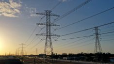 Empresa eléctrica de Texas se declara en la bancarrota tras la tormenta