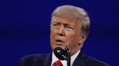 Trump dice «no más dinero para los RINO», pide a seguidores que donen a su PAC y página web
