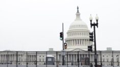Propuesta bipartidista prohibiría una valla permanente alrededor del Capitolio de EE.UU.
