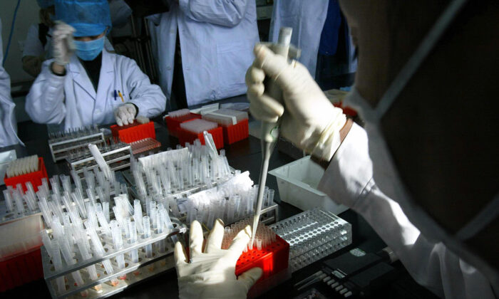 Los técnicos de laboratorio analizan muestras de sangre en un hospital de animales en Beijing, el 6 de febrero de 2004. (Frederic J. Brown/AFP a través de Getty Images)
